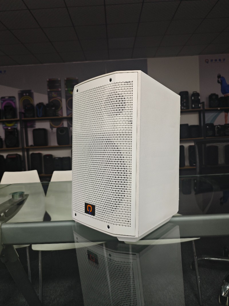 Portable Outdoor Audio Speaker – Home Cinema Speaker System recenzja i cena