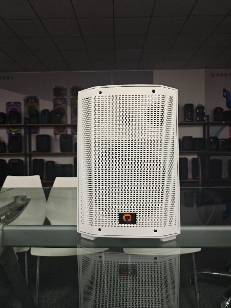 Portable Outdoor Audio Speaker – Home Cinema Speaker System recenzja i cena